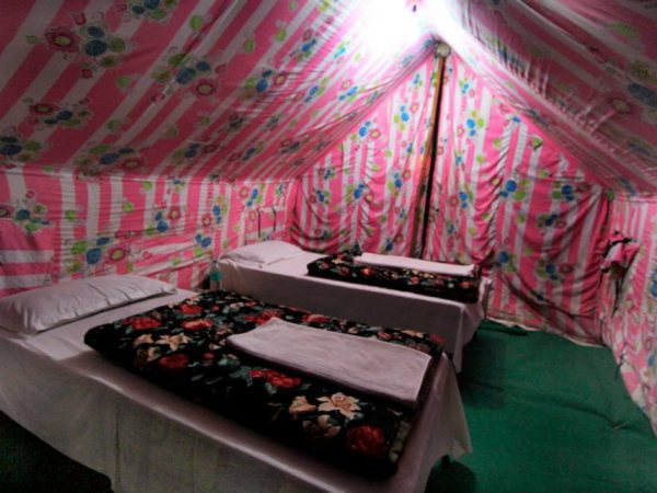 Camp Hammock- Tent Interior